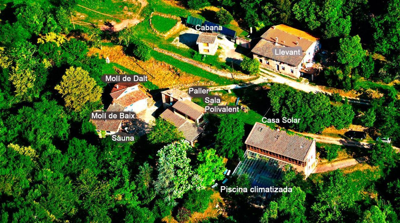 La Cabana Del Moli De La Plana Riudaura المظهر الخارجي الصورة