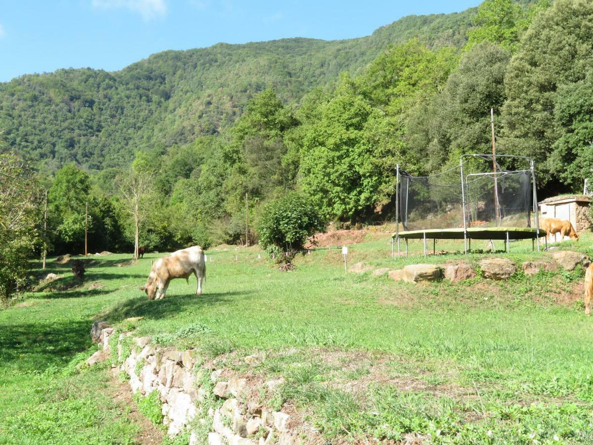 La Cabana Del Moli De La Plana Riudaura المظهر الخارجي الصورة